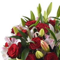 Bouquet of flowers Congratulate Poltava
                                
