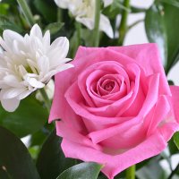  Bouquet With You Nikolaev
                                