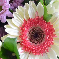 Bouquet of flowers Regards Medicity
                            