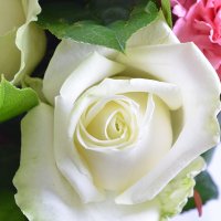 Bouquet of flowers Regards Medicity
                            