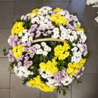 Basket of mix chrysanthemum Kharkov