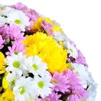 Basket of mix chrysanthemum Kharkov