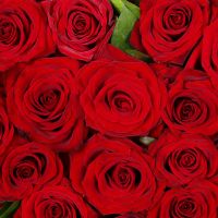 You are in my heart Nikolaev