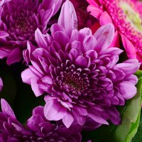 Букет квітів Токіо Алмере