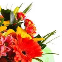 Bouquet  local Striy
