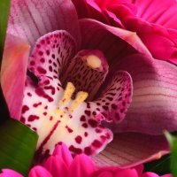 Bouquet of flowers Unique Ulm
                            