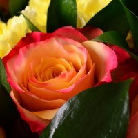 Букет цветов Стрелец Бетон Руж
                            