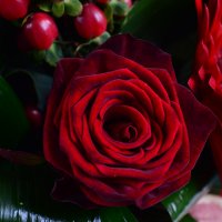 Букет цветов Мужской Флорида
                            