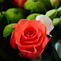 Bouquet of flowers Elegance Chernovtsy
                            