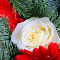 Christmas tree bouquet+Chocolate Santa Claus Odessa
