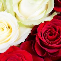 Heart with roses Kolomyja
