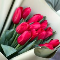 Красные тюльпаны 15 шт Ри