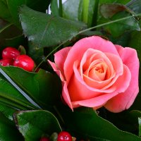 Bouquet of flowers Small Kherson
                                