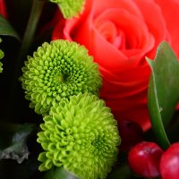  Букет Для матусі Надвірна
                                