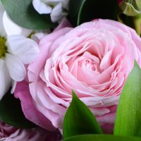  Bouquet Tender spring Odessa
                                