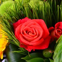 Bouquet of flowers Summer Chernovtsy
                                