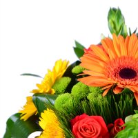 Bouquet of flowers Summer Chernovtsy
                                