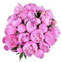  Bouquet Pink peonies Benevento
                            