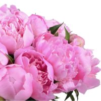  Bouquet Pink peonies Benevento
                            