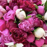  Bouquet Mixed peonies Malta
                                