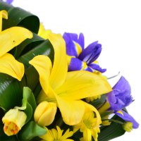 Bouquet of flowers Ukraine Bishkek
                            