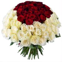 Queen Red and white roses 101pcs Logrono