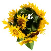  Bouquet Of sunflowers Uzhgorod
                                