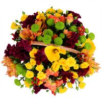  Bouquet Warm autumn Chornomorsk
                                
