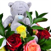 With teddy bear Terebovlia