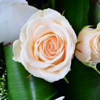 Букет цветов Муза Саннибанк Хилс
                            