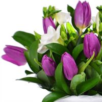 Bouquet of flowers Snowdrop Kharkov
                                