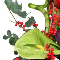  Bouquet Business class Canberra
                            