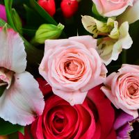  Bouquet Spring mix Uzhgorod
                            