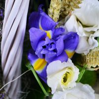 Summer basket of flowers Nikolaev