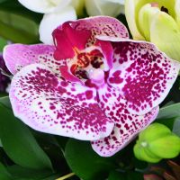 Букет квітів Малахітовий Бердичів
                            