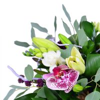 Букет квітів Малахітовий Бердичів
                            