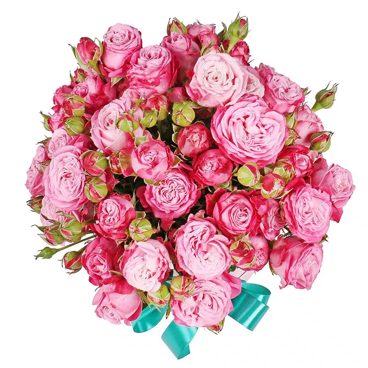 Pink spray roses 15pcs in a box – flower delivery in Rezina