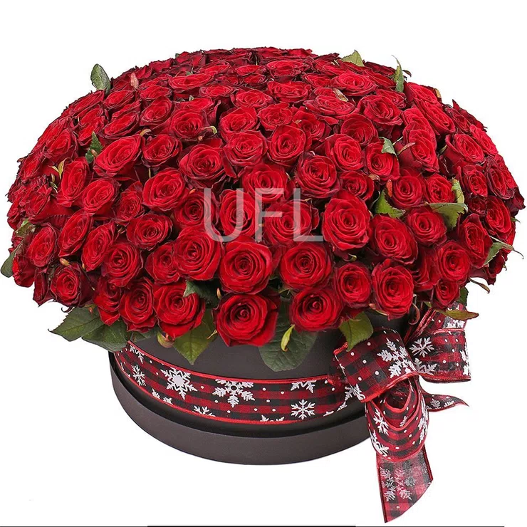 201 red roses in a box – flower delivery in St.Alban