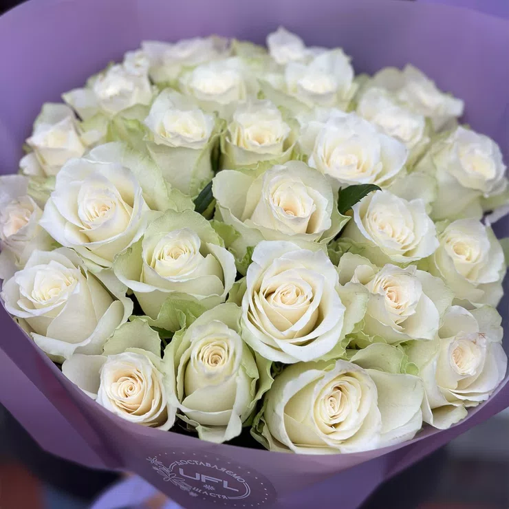 Bouquet 25 white roses – flower delivery in Ceske Budejovice