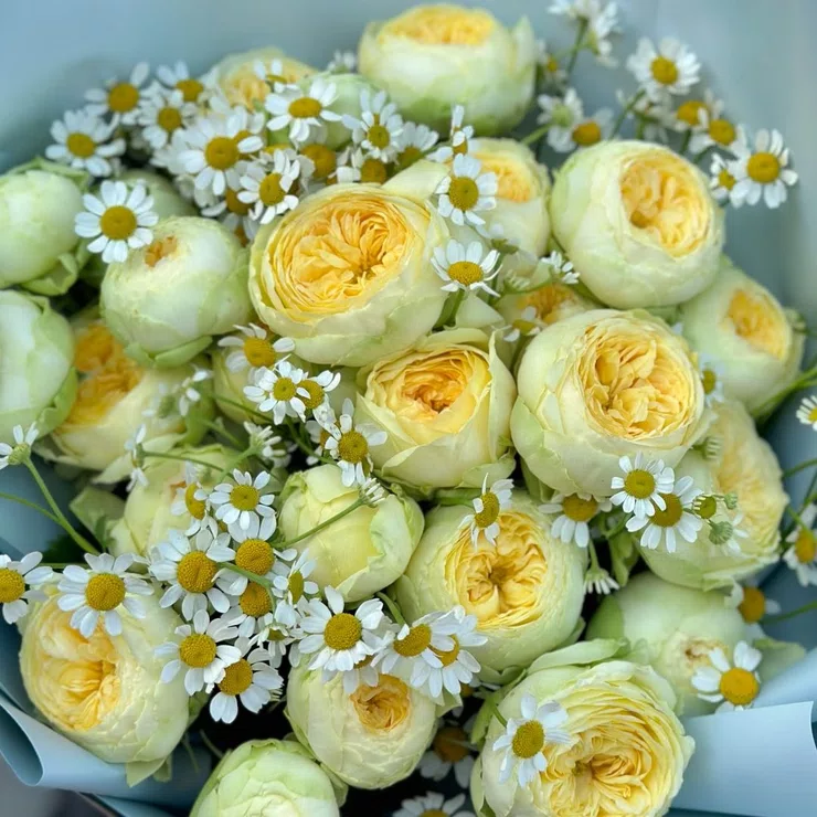 Summer smile Yellow spray roses 9pcs – flower delivery in Toluka