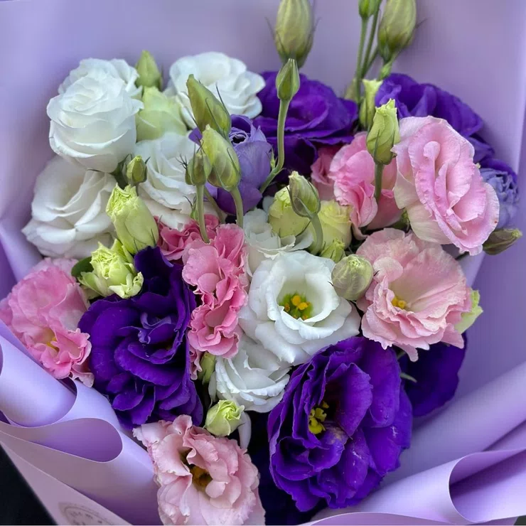 Magic rainbow – flower delivery in Nikolaevka (Moldova)