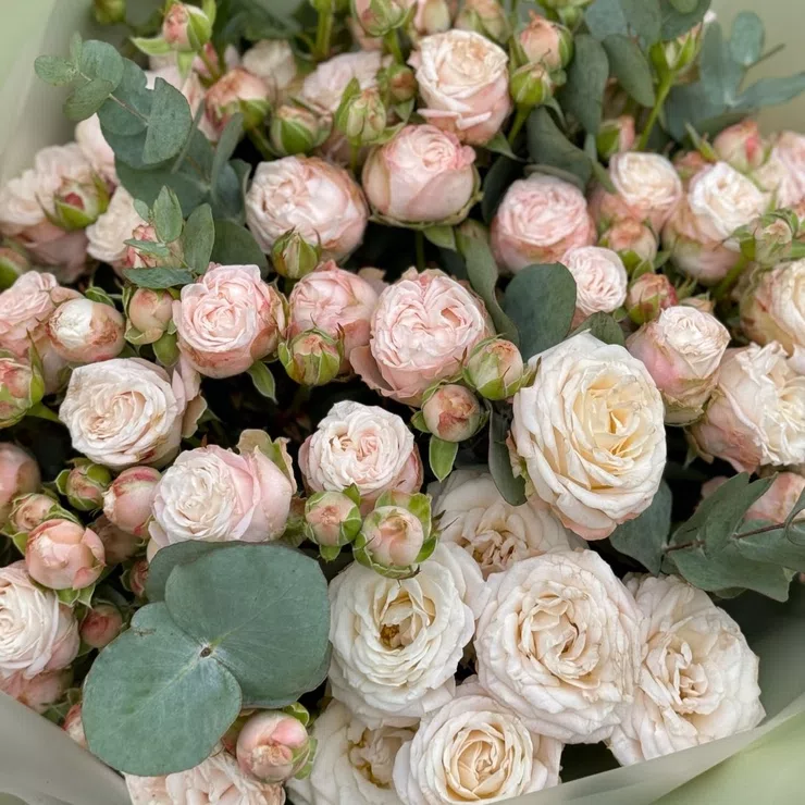 Bouquet of creamy spray roses 11pcs – flower delivery in Nikolaevka (Moldova)
