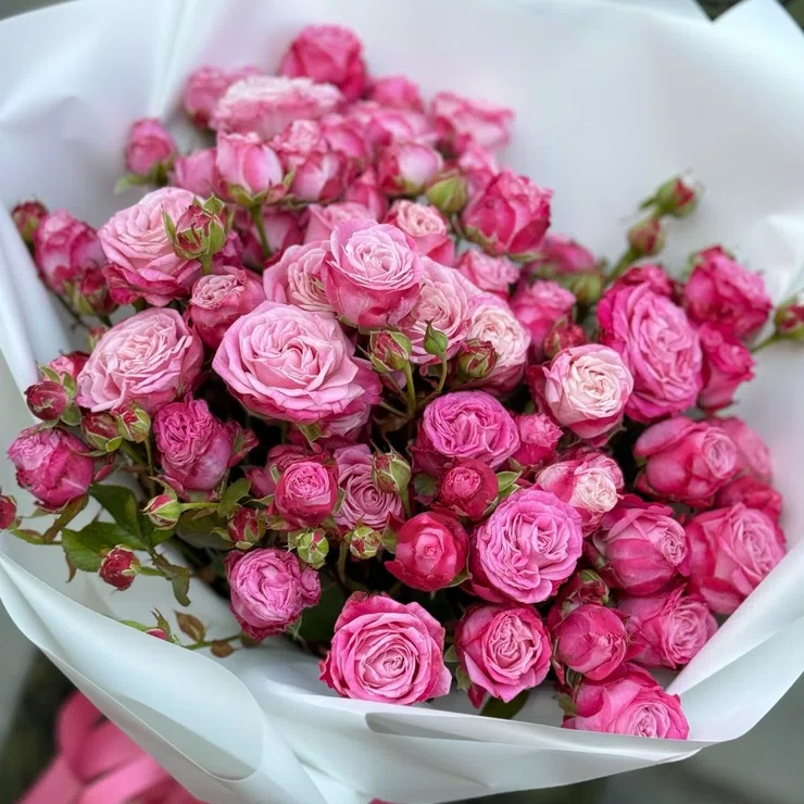 Spray roses 13pcs Pink dream – flower delivery in Austin