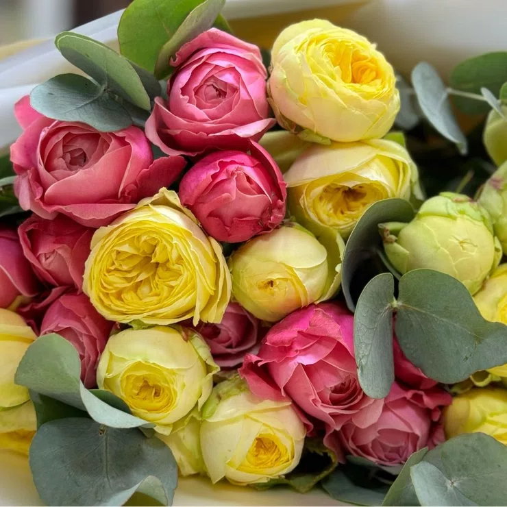 Bright mix of roses 11pcs – flower delivery in Erfurt