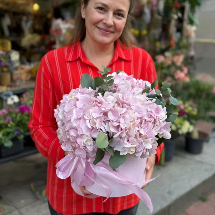 Pink hydrangea in box – flower delivery in Maaleh Adumim