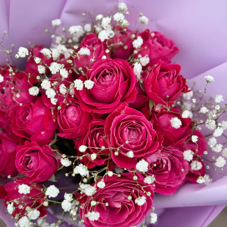 Pink marvel 7 roses – flower delivery in Minneapolis