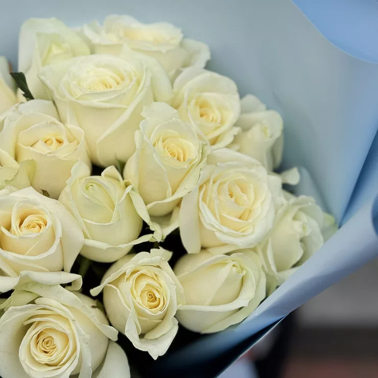 Bouquet 21 white roses – flower delivery in Mellott