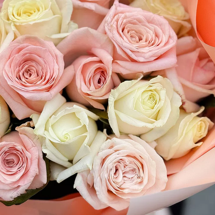 21 white and cream roses – flower delivery in Vasteras