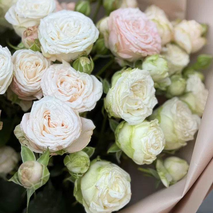 Bouquet of tender spray roses 11pcs – flower delivery in Toluka