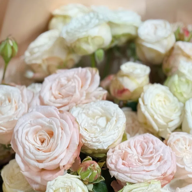 Spray of 9 roses + Raffaello – flower delivery in Toluka